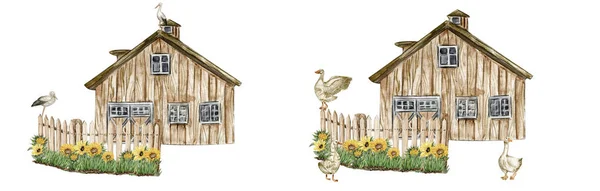 Akvarell Farm Összetétele Napraforgó Rajzfilm Stílusban Nyár Kézzel Rajzolt Illusztrációja — Stock Fotó