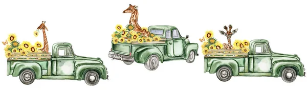 Акварельна Композиція Соняшниками Фермерським Автомобілем Мультиплікаційному Стилі Рука Намальована Ілюстрація — стокове фото