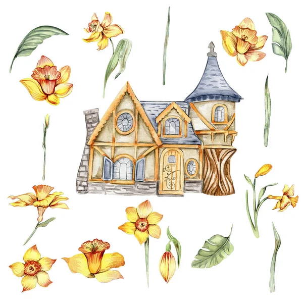 Narciso Flor Aquarela Com Casa Fary Ilustração Desenhada Mão Verão — Fotografia de Stock