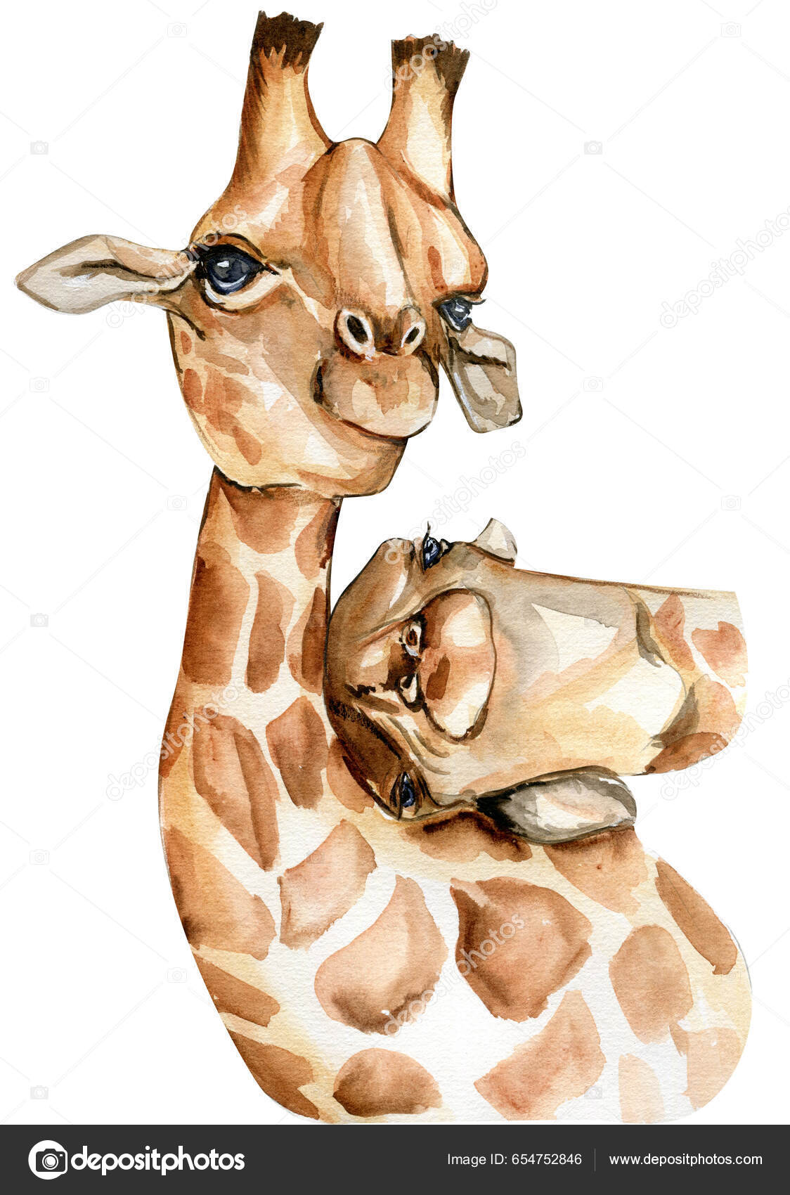 Akvarel Žirafa Ilustrace Karikatura Tropické Zvíře Exotické Letní Džungle  Designu Stock Ilustrace od ©Lilu2130#654752846