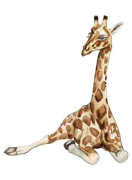 Akvarel Žirafa Ilustrace Karikatura Tropické Zvíře Exotické Letní Džungle Designu — Stock fotografie