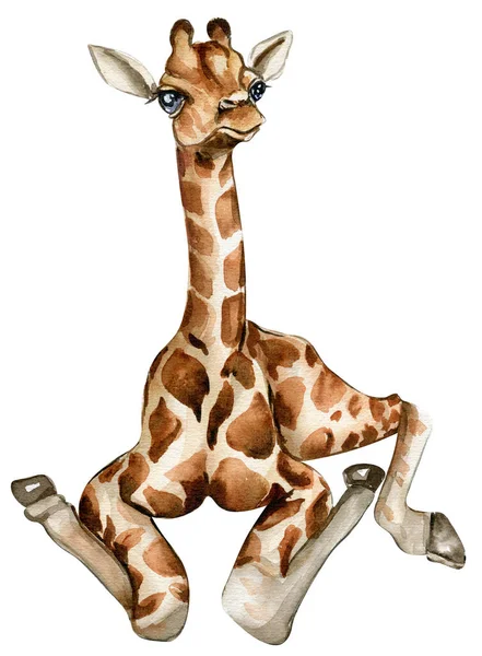 Akwarela Żyrafa Ilustracja Cartoon Tropikalne Zwierzę Egzotyczny Letni Projekt Dżungli — Zdjęcie stockowe
