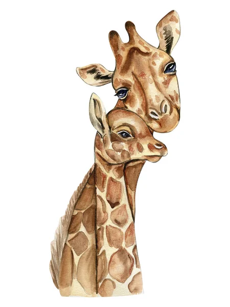 Ilustração Girafa Aquarela Animal Tropical Dos Desenhos Animados Projeto Exótico — Fotografia de Stock