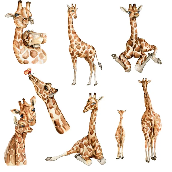 Aquarel Giraffe Illustratie Cartoon Tropisch Dier Exotische Zomer Jungle Design — Stockfoto