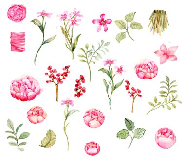 Watercolor illustration set of roses elements. Hand-drawn blooming flowers with watercolour on a white isolated background. Perfect for wedding invitation, greetings card, posters, party decor.