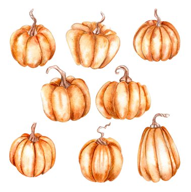 Suluboya el, sonbahar yapraklarını ve balkabaklarını çizdi. Sonbaharın el çizimi. Koleksiyon defteri, çocuk tasarımı, düğün davetiyesi, posterler, tebrik kartları, parti dekorasyonu için mükemmel..