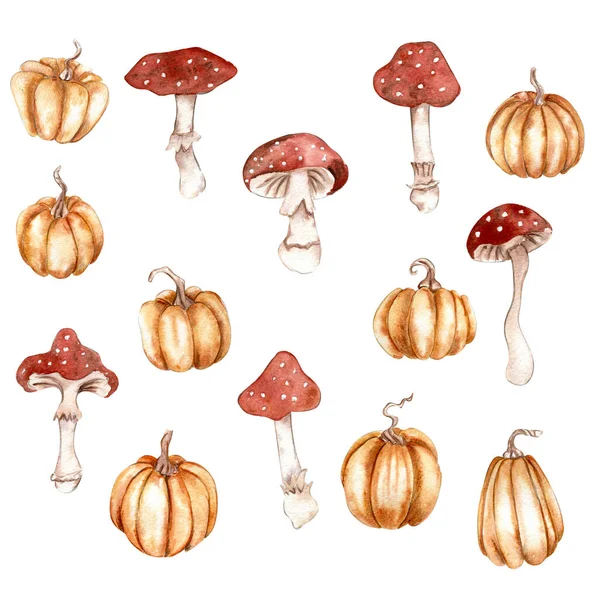 Mão Aquarela Desenhada Abóboras Outono Cogumelos Ilustração Desenhada Mão Outono — Fotografia de Stock