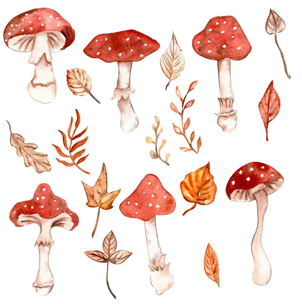 Akvarell Kézzel Rajzolt Őszi Levelek Gombák Ősz Kézzel Rajzolt Illusztrációja — Stock Fotó