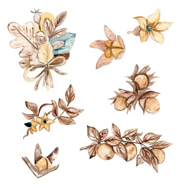 Suluboya el, sonbahar yaprakları, elmalar ve deniz dikenleri çizdi. Sonbaharın el çizimi. Koleksiyon defteri, çocuk tasarımı, düğün davetiyesi, posterler, tebrik kartları, parti dekorasyonu için mükemmel..