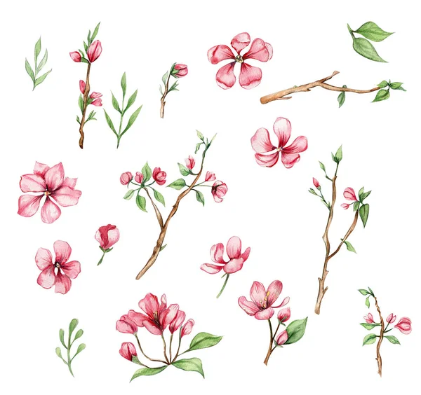Watercolor collection set of sakura pink flowers, petals, sakura flower. Watercolor illustration for greeting cards, posters, stickers, nursery, baby shower, invitation for birthday party, packaging.