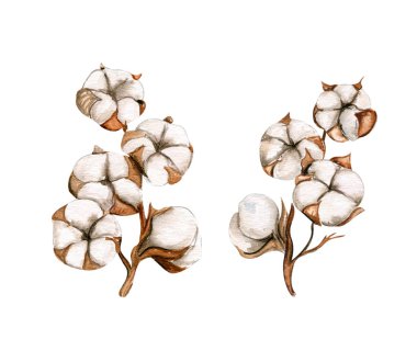 Suluboya el pamuk dallar çizdi. Sonbaharın el çizimi. Koleksiyon defteri, çocuk tasarımı, düğün davetiyesi, posterler, tebrik kartları, parti dekorasyonu için mükemmel..