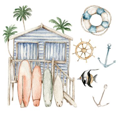 suluboya deniz kabukları, denizatı, denizyıldızı, baloncuklar izole beyaz arka plan, el çizimi, yaz mevsimi zirvesi