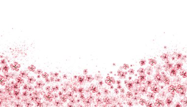 Hassas, pembe sakura çiçekleri. Yatay tahta, suluboya çizim. Kartpostalların tasarımı ve dekorasyonu için, posterler, çıkartmalar, duvar kağıtları, afişler, hatıralar.