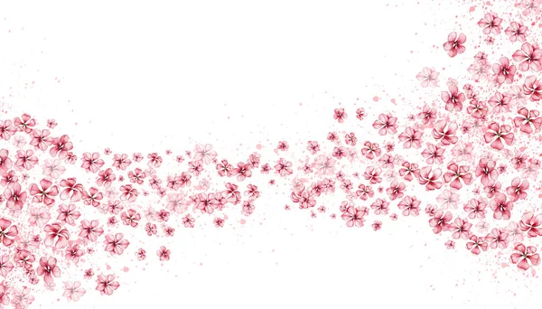 Delicate Roze Sakura Bloemen Horizontaal Bord Aquarelillustratie Voor Het Ontwerpen — Stockfoto