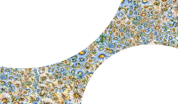 Délicate Camomille Bleue Blanche Panneau Horizontal Illustration Aquarelle Pour Conception — Photo