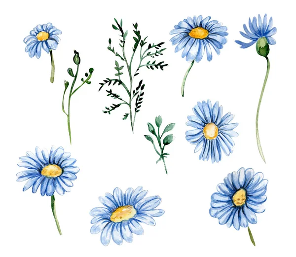Blue Chamomile Flowers Set Nursery Baby Shower Invitation Birthday Party — Stock Photo, Image