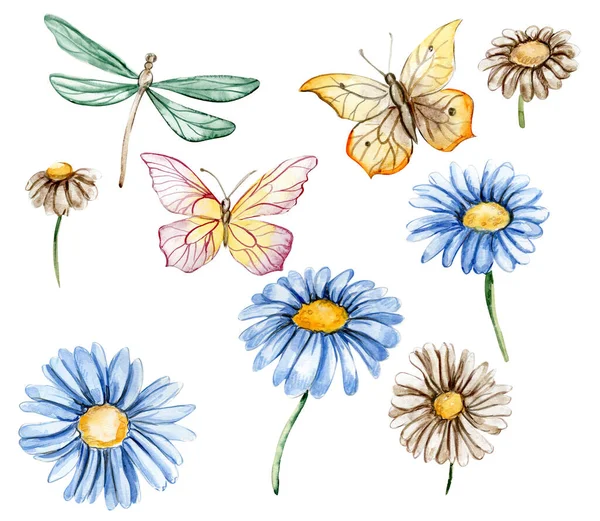 Blue White Chamomile Flowers Set Butterflies Nursery Baby Shower Invitation — Stock Photo, Image