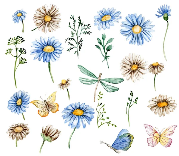 Blue White Chamomile Flowers Set Nursery Baby Shower Invitation Birthday — Stock Photo, Image