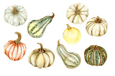 Balkabaklarına hazır olun. Kartlar, arka planlar için. Albüm koleksiyonu için suluboya çizimi. Düğün davetiyesi için mükemmel..