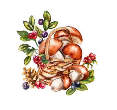 Suluboya el sonbahar yaprakları ve mantarlar çizdi. Sonbaharın el çizimi. Koleksiyon defteri, çocuk tasarımı, düğün davetiyesi, posterler, tebrik kartları, parti dekorasyonu için mükemmel..