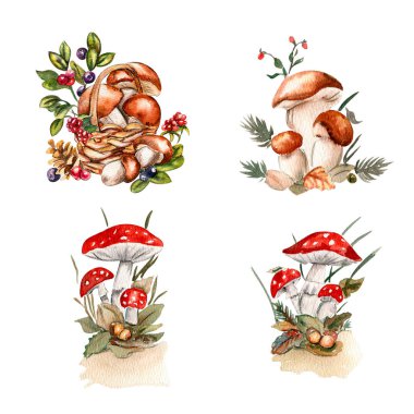 Suluboya el sonbahar yaprakları ve mantarlar çizdi. Sonbaharın el çizimi. Koleksiyon defteri, çocuk tasarımı, düğün davetiyesi, posterler, tebrik kartları, parti dekorasyonu için mükemmel..