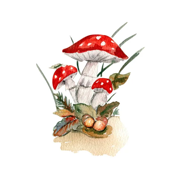 Akvarell Kézzel Rajzolt Őszi Levelek Gombák Ősz Kézzel Rajzolt Illusztrációja — Stock Fotó