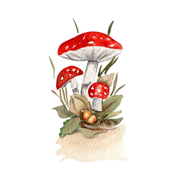 Desenho, cogumelos pintados à mão bonitos dos desenhos animados, pintura em  aquarela, comida, mão png
