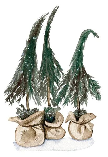 Aquarell Neujahr Grüner Baum Aquarell Handgezeichnete Illustration — Stockfoto