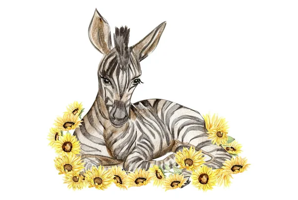 Zebra Komposition Wasserfarbe Handgezeichnetes Tropisches Tier Design Für Babydusche Party — Stockfoto