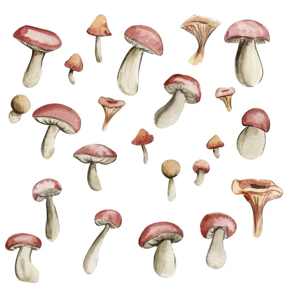 Cogumelos Outono Ilustração Desenhada Mão Outono Perfeito Para Scrapbooking Design — Fotografia de Stock