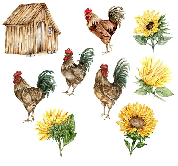 Akvarel Dřevěný Statek Slunečnice Péro Ručně Kreslená Ilustrace Farmy Ideální — Stock fotografie