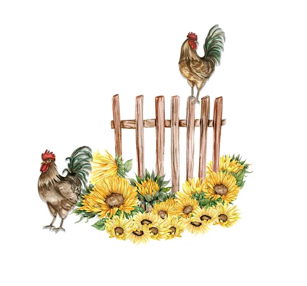 Dřevěný Plot Akvarel Kohoutí Kompozice Ručně Kreslená Ilustrace Farmy Ideální — Stock fotografie