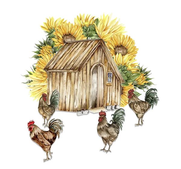 Akvarel Dřevěný Statek Slunečnice Kohout Složení Ručně Kreslená Ilustrace Farmy — Stock fotografie