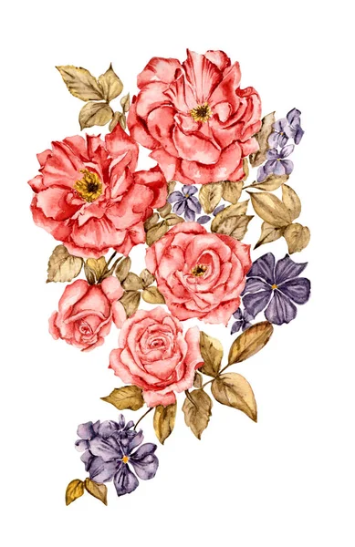 Composição Rosa Aquarela Watercolor Ilustração Desenhada Mão Para Convites Cartões — Fotografia de Stock