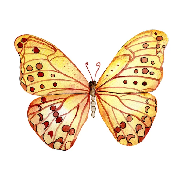 Acuarela Mariposa Colorida Ilustración Mariposa Monarca Ilustración Insectos Dibujada Mano —  Fotos de Stock