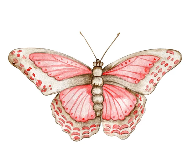 Barevný Akvný Motýl Ilustrace Motýla Panovníka Ručně Kreslený Hmyz Ilustrace — Stock fotografie
