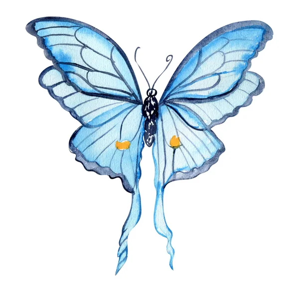 Suluboya Renkli Kelebek Monarch Kelebeği Nin Tasviri Çizimi Böcek Resimleri — Stok fotoğraf
