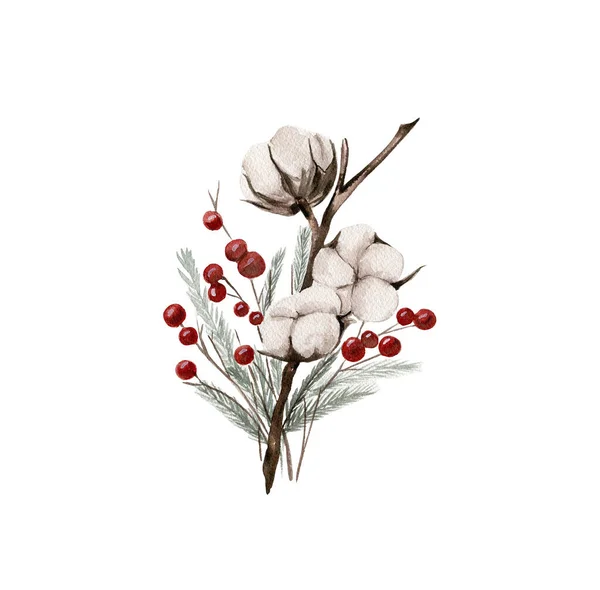 Cotton Branches Red Berries Composition Hand Drawn Illustration Perfect Scrapbooking — Stock Photo, Image