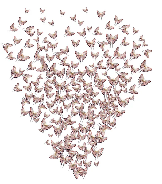 Složení Motýla Akvarelu Ilustrační Motýl Ručně Kreslený Hmyz Ilustrace Pro — Stock fotografie
