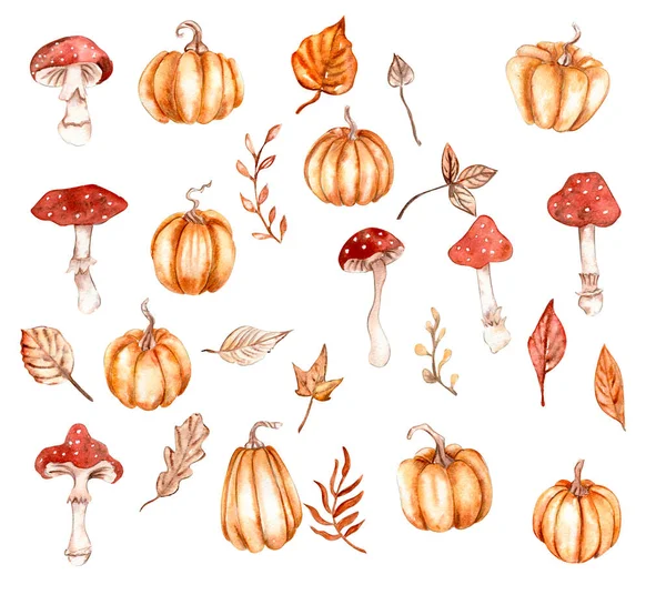 Mão Aquarela Desenhada Folhas Outono Abóboras Cogumelos Ilustração Desenhada Mão — Fotografia de Stock