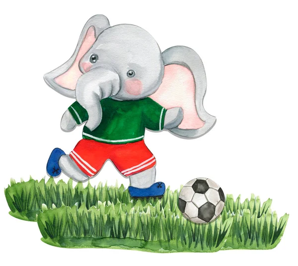 Fil futbolcu suluboya kompozisyonu. Suluboya el çizimi çizimi. Bebek partisi için tasarım, doğum günü, pasta, bayram kutlama tasarımı, kartpostallar.