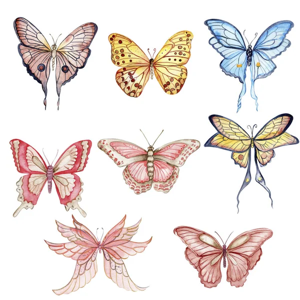 Acuarela Mariposa Colorida Ilustración Mariposa Monarca Ilustración Insectos Dibujada Mano — Foto de Stock