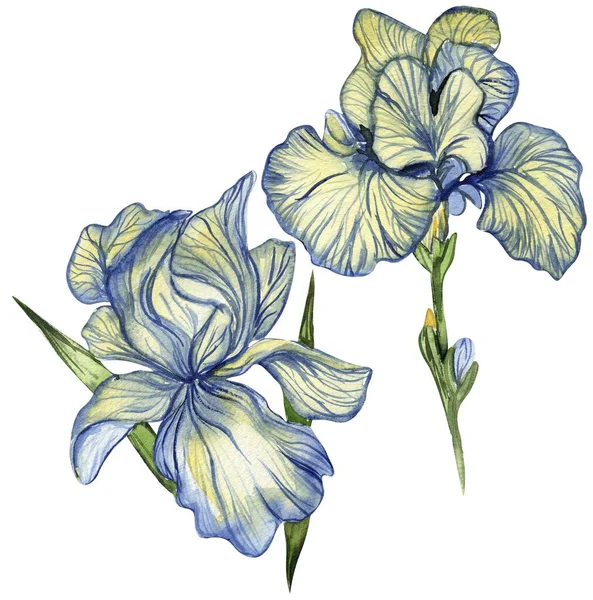 Ris Çiçeği Kağıt Arkaplan Hatıra Defteri Için Suluboya Çizimi Düğün — Stok fotoğraf
