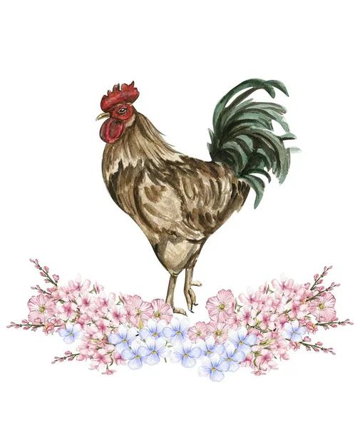 Watercolor Flowers Rooster Composition Hand Drawn Illustration Farm Perfect Wedding — Stock Photo, Image