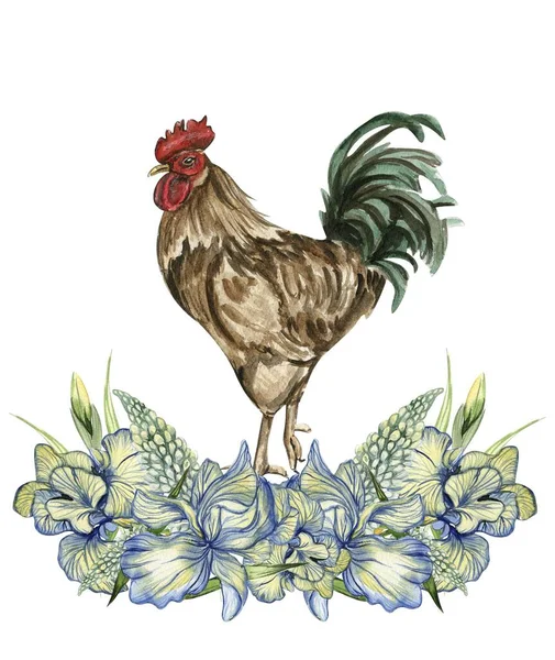 Akvarelové Květiny Kohoutí Složení Ručně Kreslená Ilustrace Farmy Ideální Pro — Stock fotografie