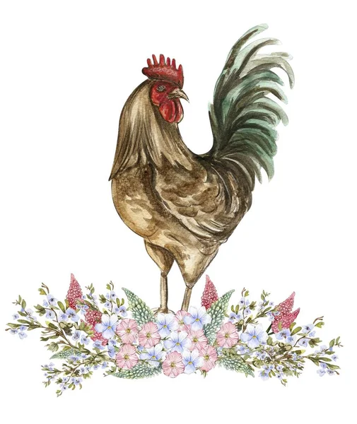 Akwarela Kwiaty Kompozycja Koguta Ręcznie Rysowana Ilustracja Farmy Idealny Zaproszenia — Zdjęcie stockowe