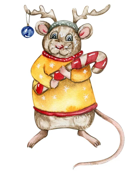 Karikatür tarzında suluboya Noel fareleri. Kartlar, arka planlar, hatıra defterleri ve senin tasarımın için suluboya Noel çizimi. Düğün davetiyesi için mükemmel..