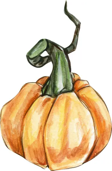 Akvarell Kézzel Rajzolt Őszi Sütőtök Ősz Kézzel Rajzolt Illusztrációja Halloween — Stock Fotó