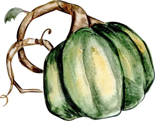 Akvarell Handritade Höst Pumpor Handritad Illustration Hösten Halloween Illustration För — Stockfoto