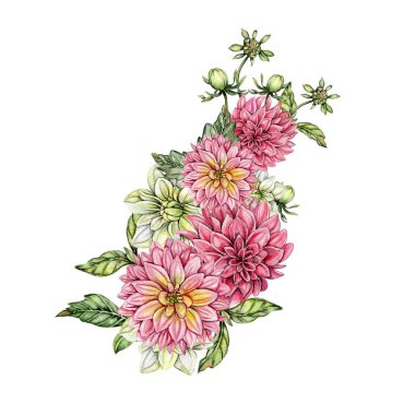 Suluboya yıldız çiçeği kompozisyonu. Çiçek açan bir bahçenin el çizimi. Bebek partisi için tasarım, doğum günü, pasta, bayram kutlama tasarımı, posterler, tebrik kartı, davetiye.